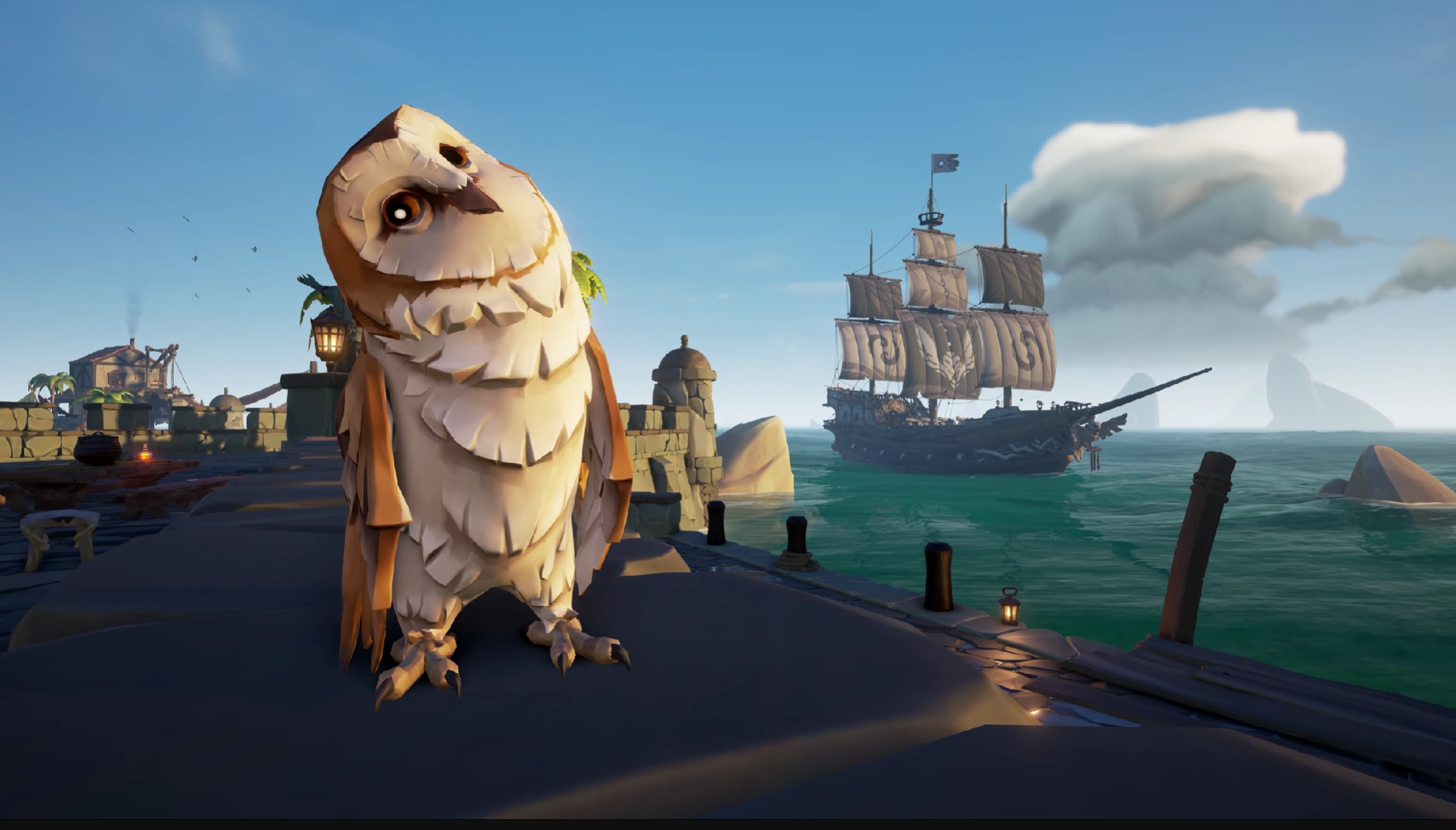 Hırsızlar Seaes Owls görüntüsü