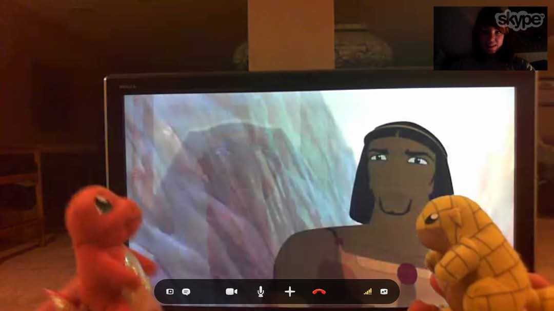 Skype Video Arama
