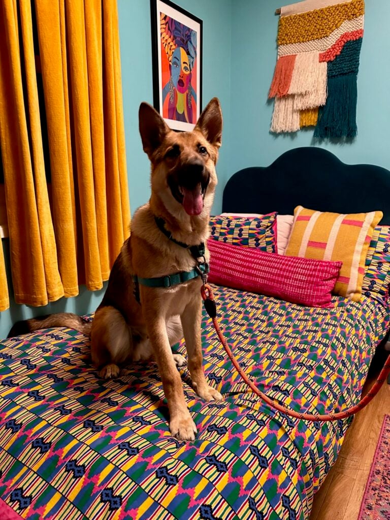Portal Paws Meow Wolf 3