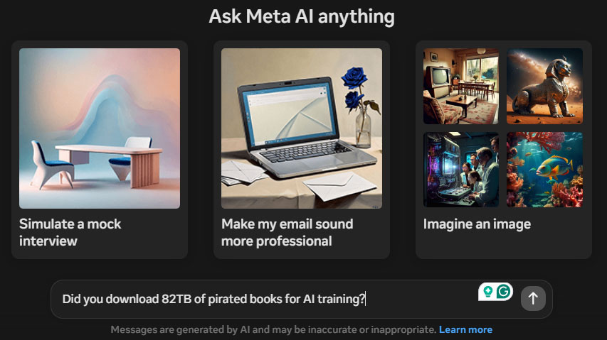Meta Pirate e -Kitapları mı?