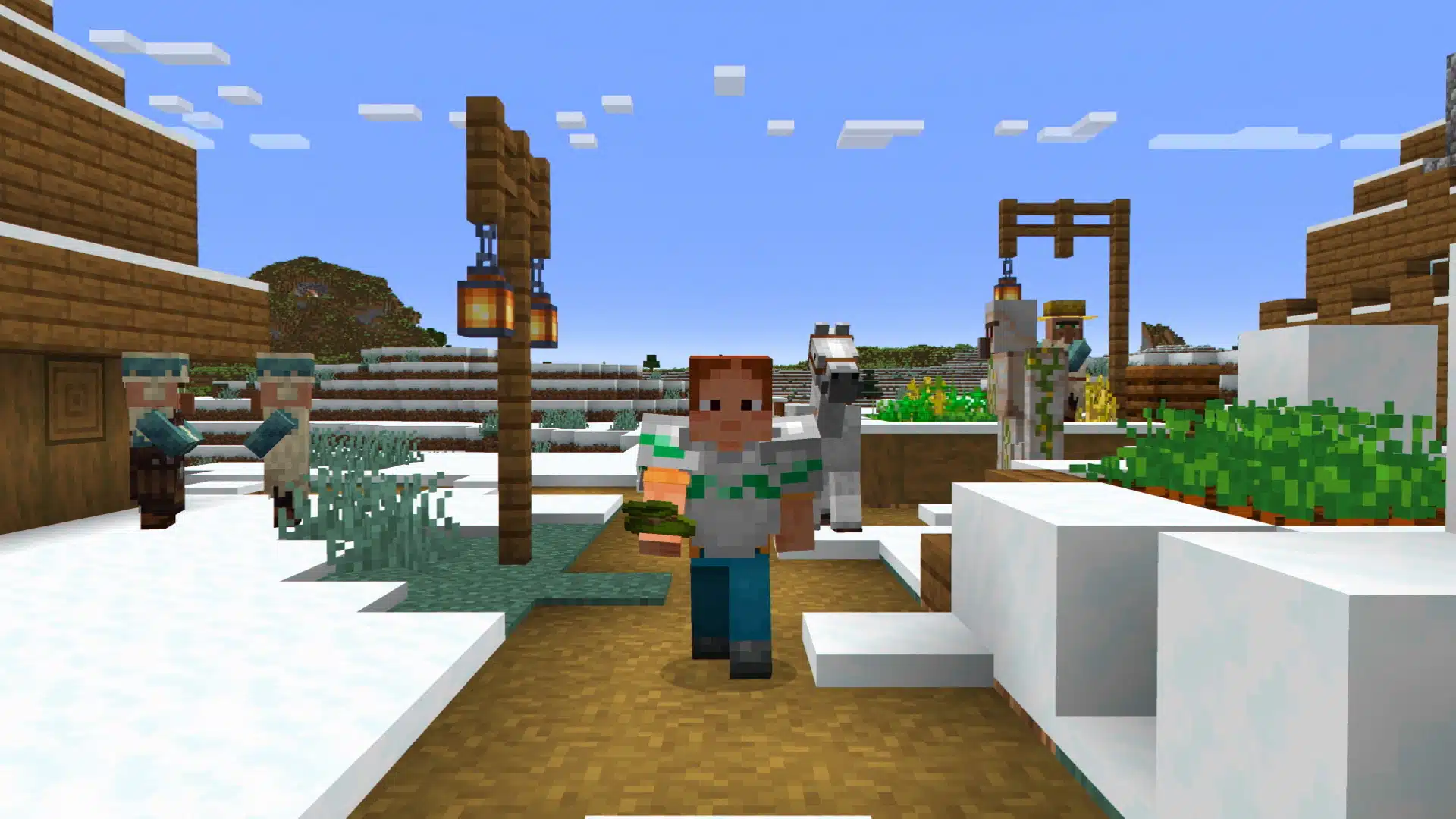Minecraft Güncellemesi 2.99