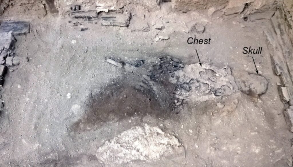 Herculaneum'un kolej Augustalium'da yatağında ölen kişi.