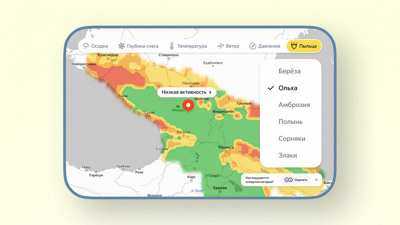 “Sağlıklı Ol!”: Yandex Havalarında Alerjiler, Tahminler ve Uyarılar için Haritalar ortaya çıktı