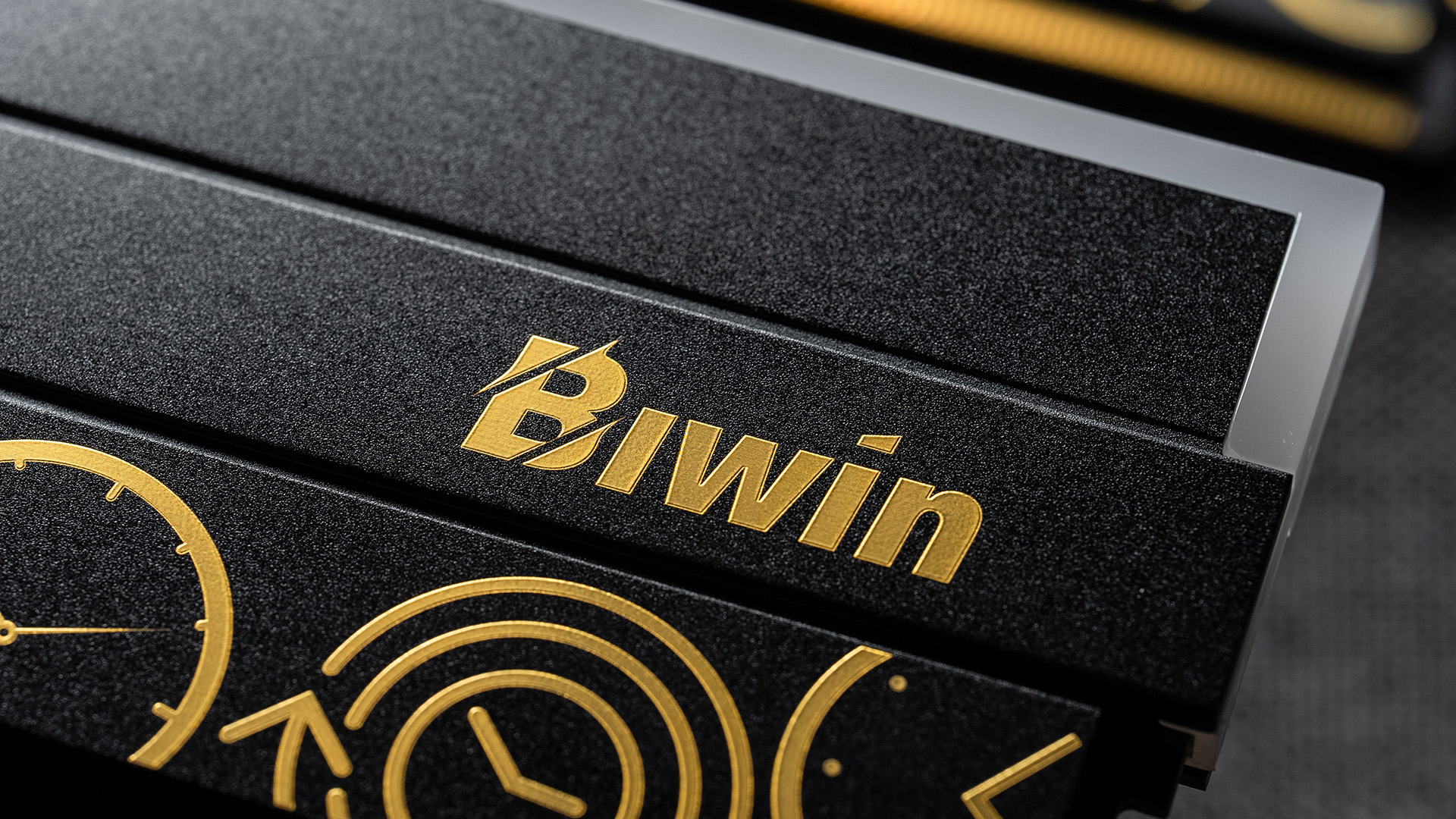 BIWIN DW100 DDR5 192 GB Bellek Kiti 