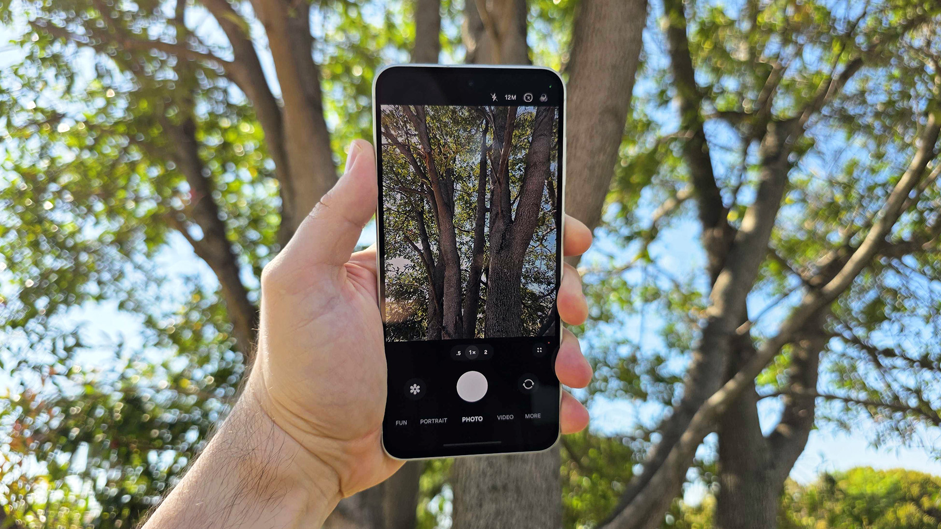 Kamera uygulaması açık ve büyük bir ağaca bakan Samsung Galaxy A56'nın eldeki görüntüsü