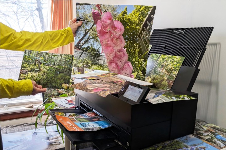 Epson Surecolor P900, çeşitli boyutlarda Fine Sanatlar Kağıt üzerine fotoğraf laboratuvar kalitesinde yazdırıyor.