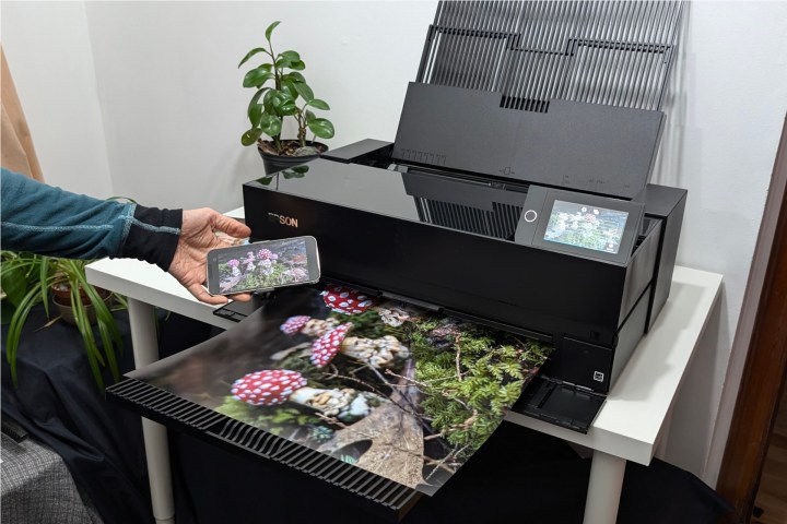 Surecolor P900 ile yazdırdığım her şey etkileyici menzil ve doğru renklerle çıktı.