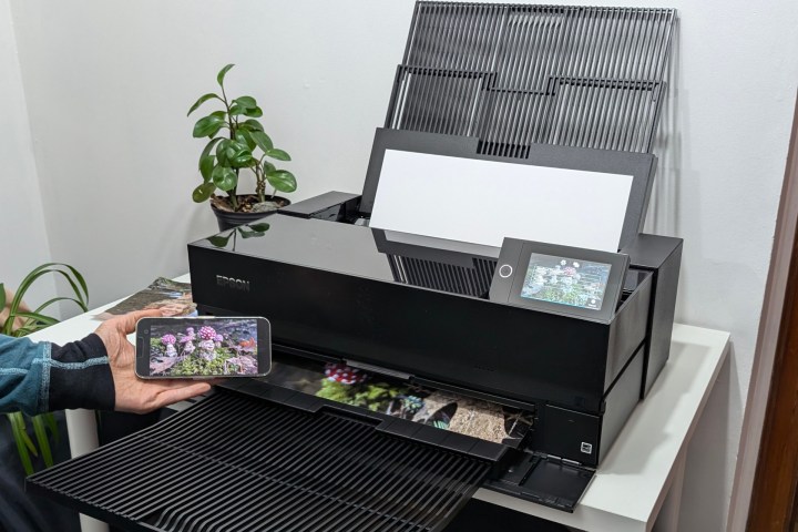 Surecolor P900, sadece yarım saat sonra veya kurulumdan sonra basmaya hazırdı.