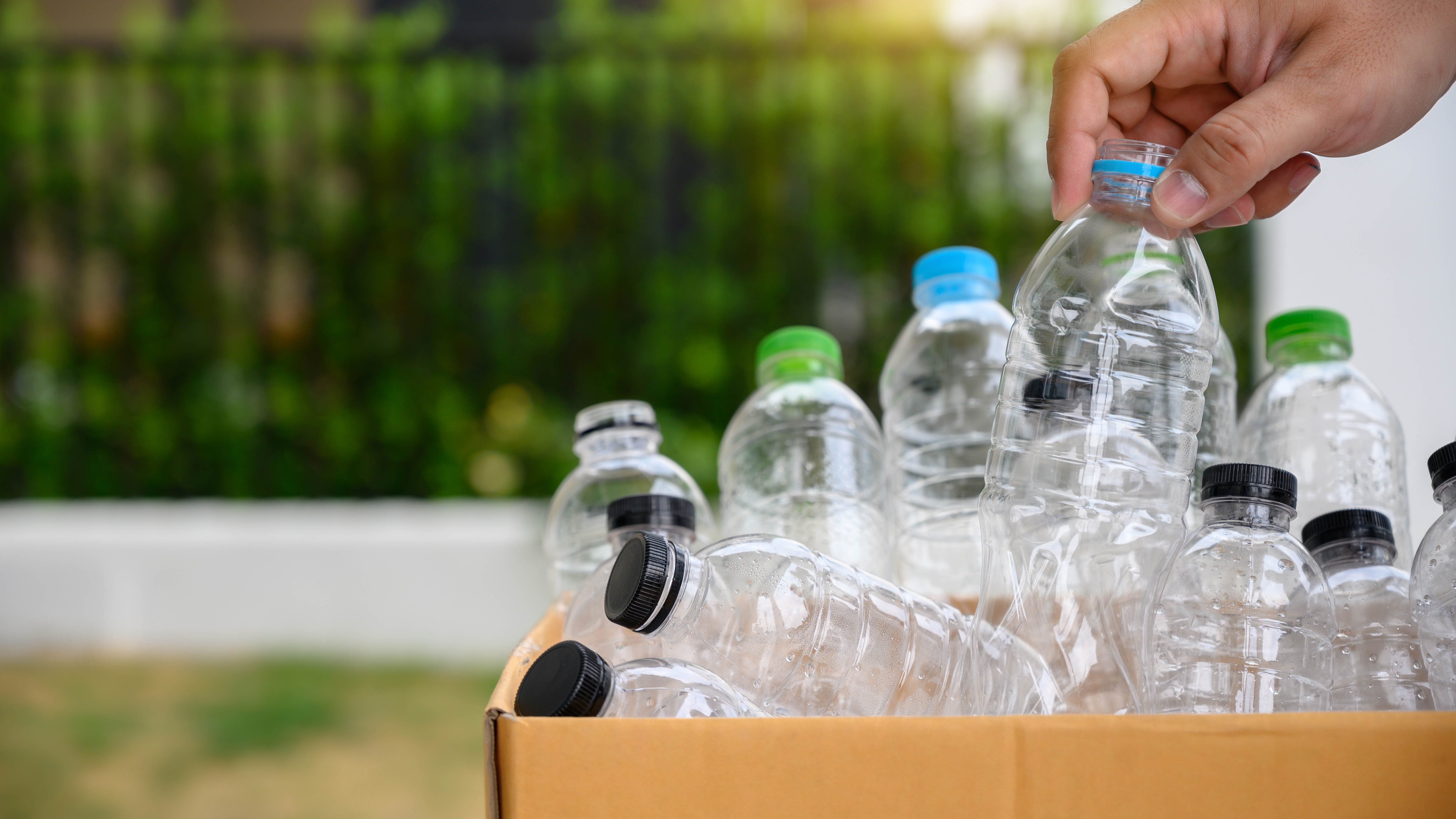Bir karton kutuda plastik şişeler