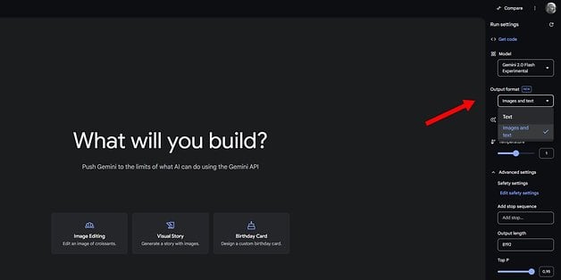Google AI Studio Kullanıcı Arayüzü İkizler API ile proje oluşturma seçenekleri.