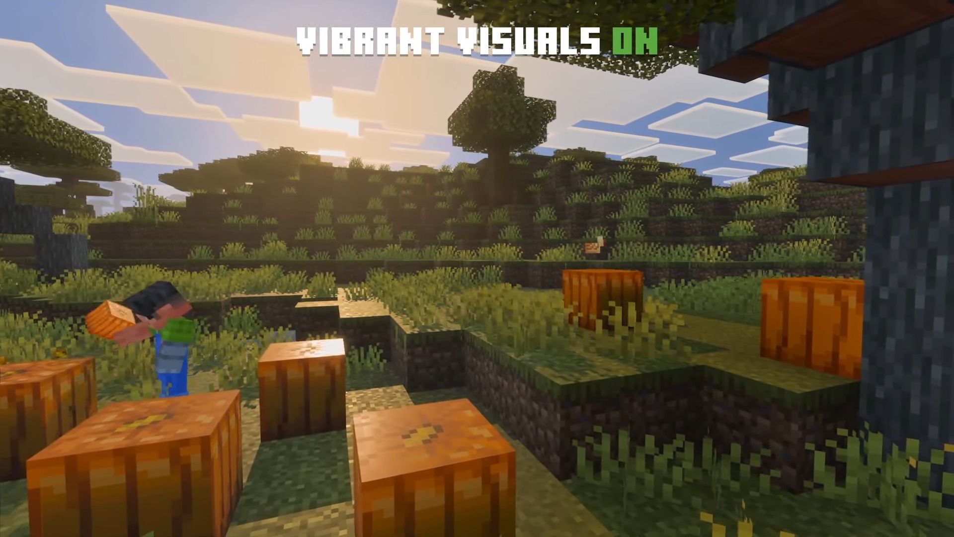 Minecraft Live'ın ekran görüntüsü (Mart 2025).