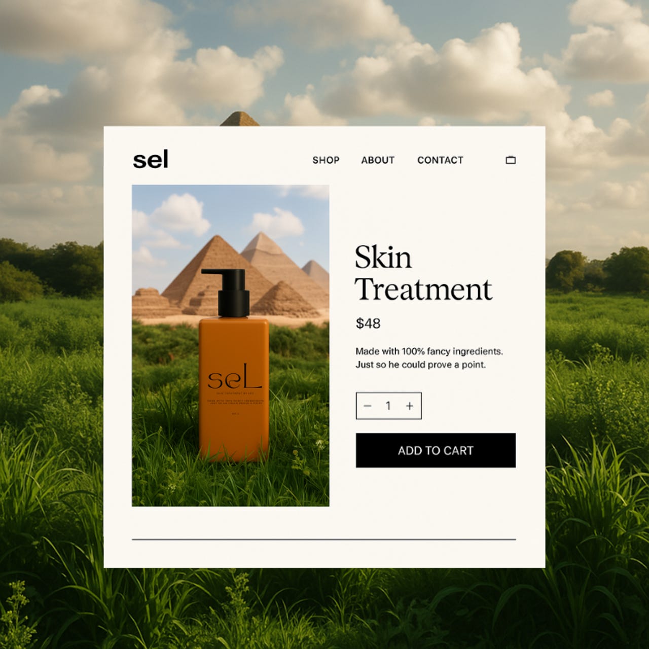 Sel-website.png