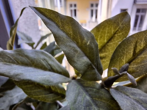 Samsung Galaxy A54 - Test fotoğrafları
