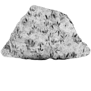 Lise Boulder Detayları