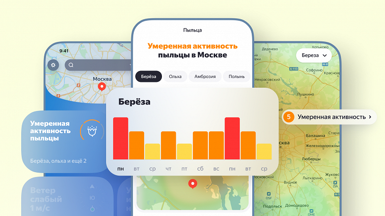 “Sağlıklı Ol!”: Yandex Havalarında Alerjiler, Tahminler ve Uyarılar için Haritalar ortaya çıktı