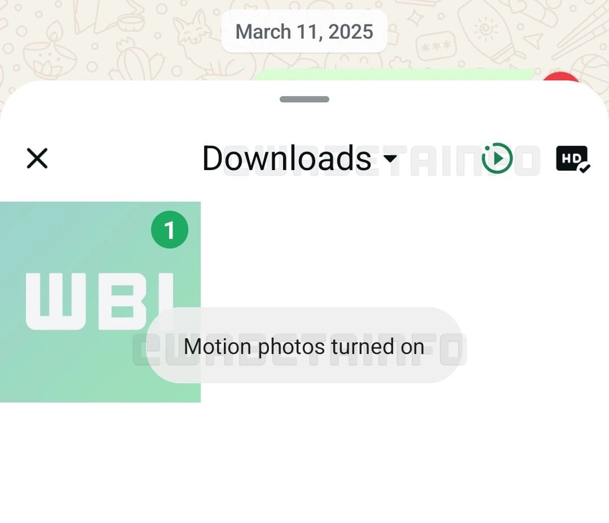 whatsapp hareketli fotoğraf paylaşımı wabetainfo whatsapp