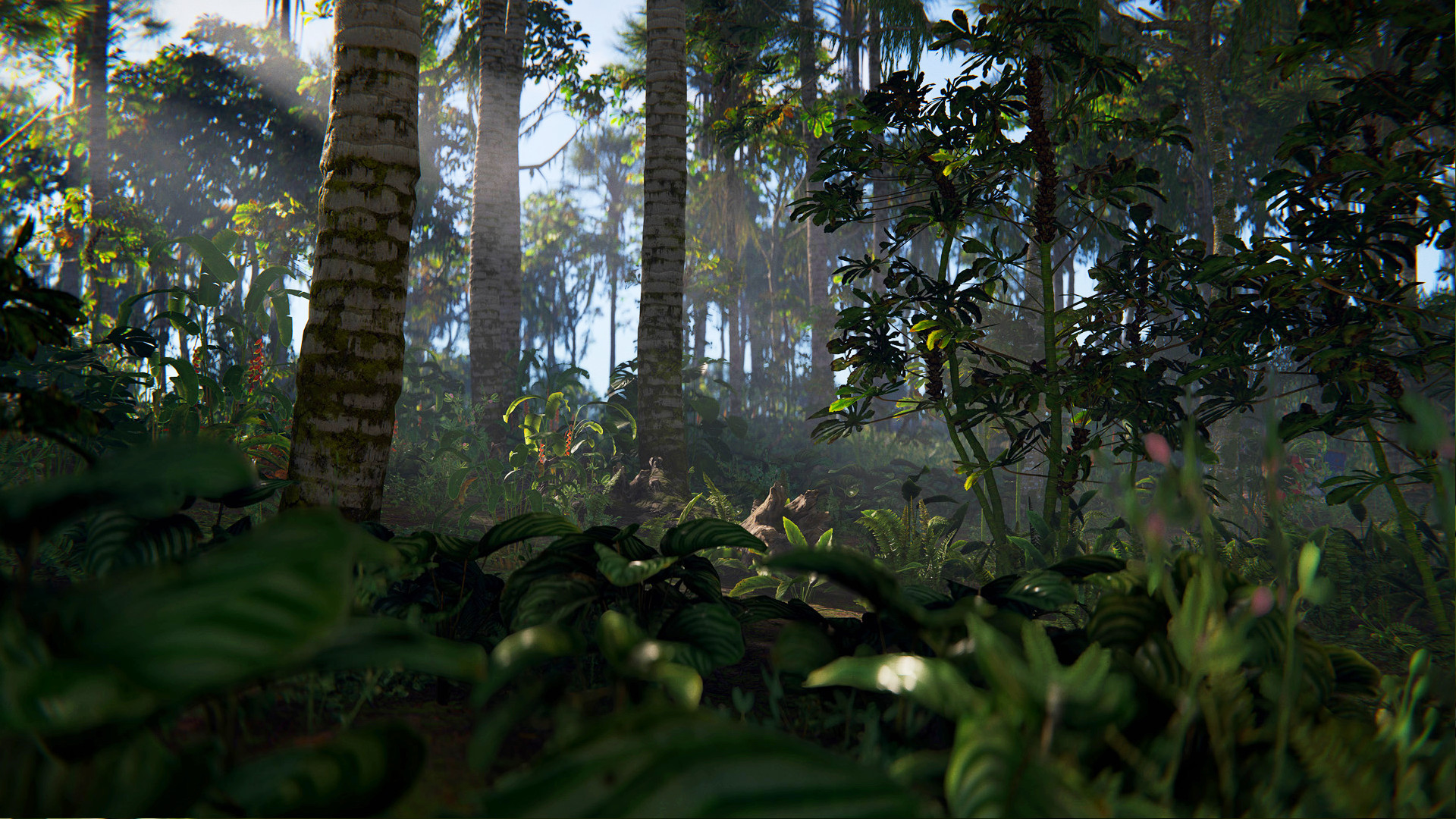 Rust Nisan Güncellemesi 2025 - Steam Survival oyunu için yaklaşan Jungle Biome'un önizlemesi.