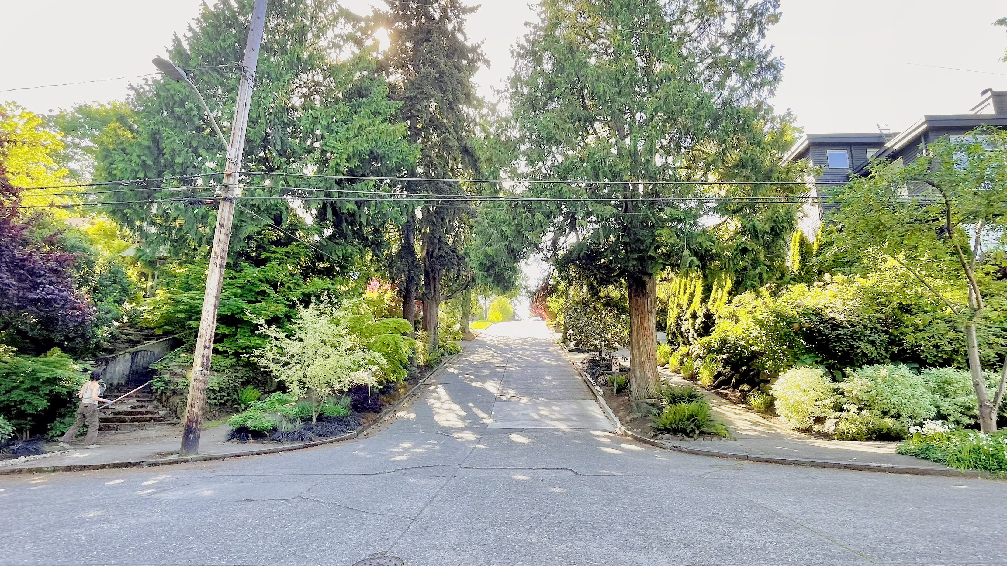 Seattle, East Roy Caddesi'ndeki en dik tepe.