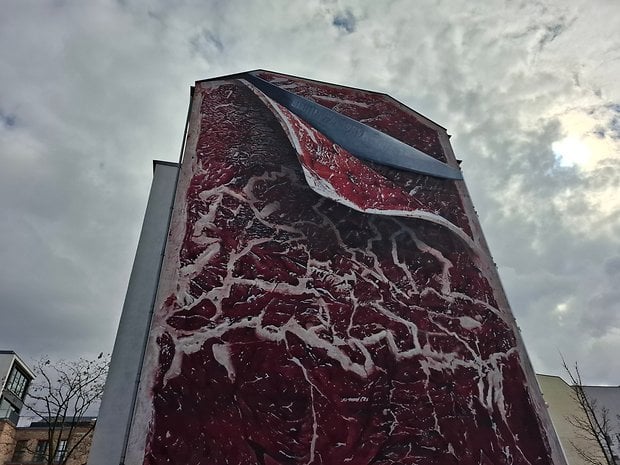 Samsung Galaxy A55: Ana Kamera