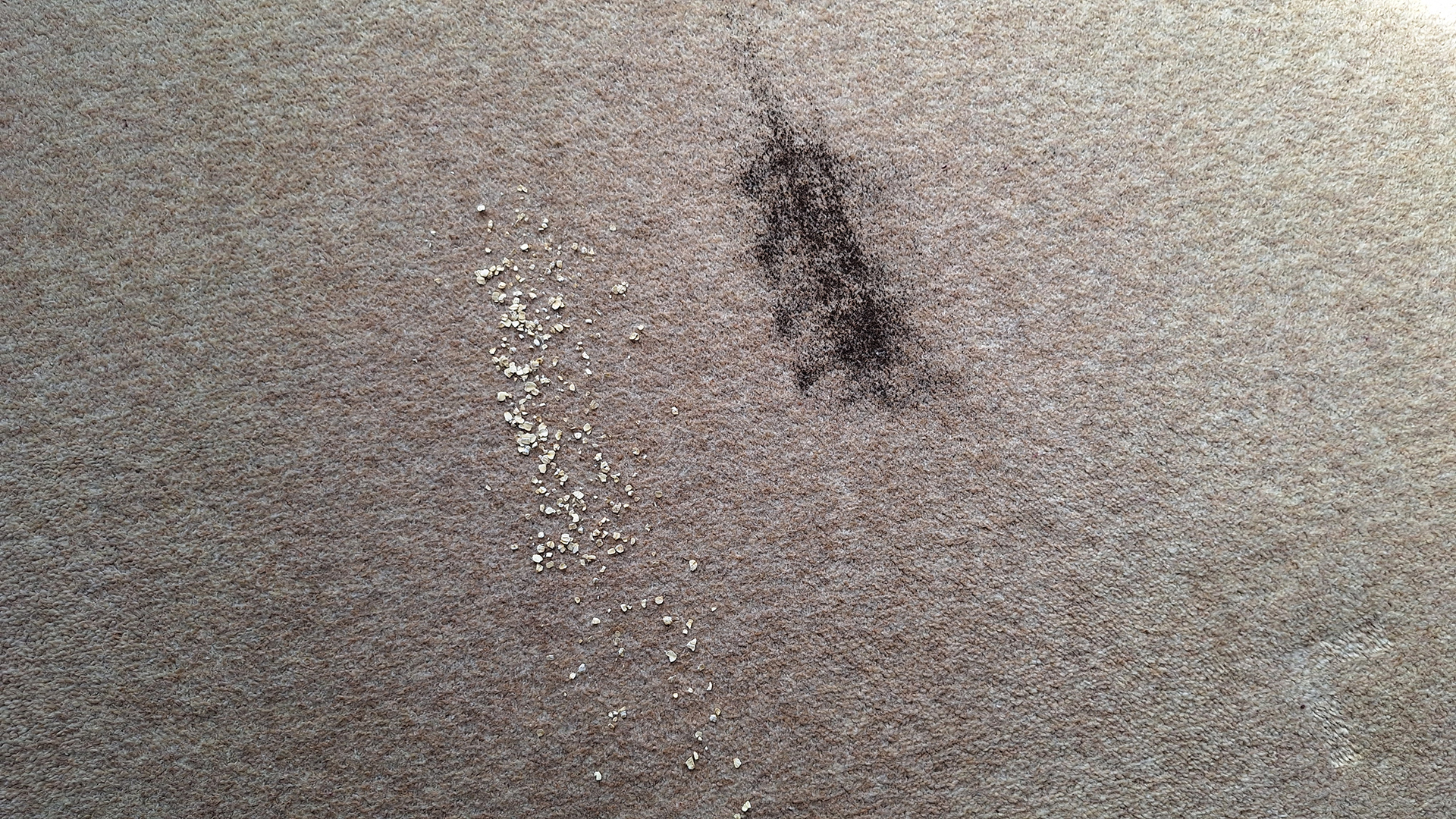 Carpet with tea and oats remaining after one pass with the Roborock Saros 10