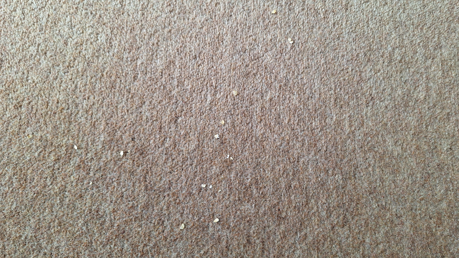 Carpet with a tiny amount of remaining tea and oats after four passes from the Roborock Saros 10