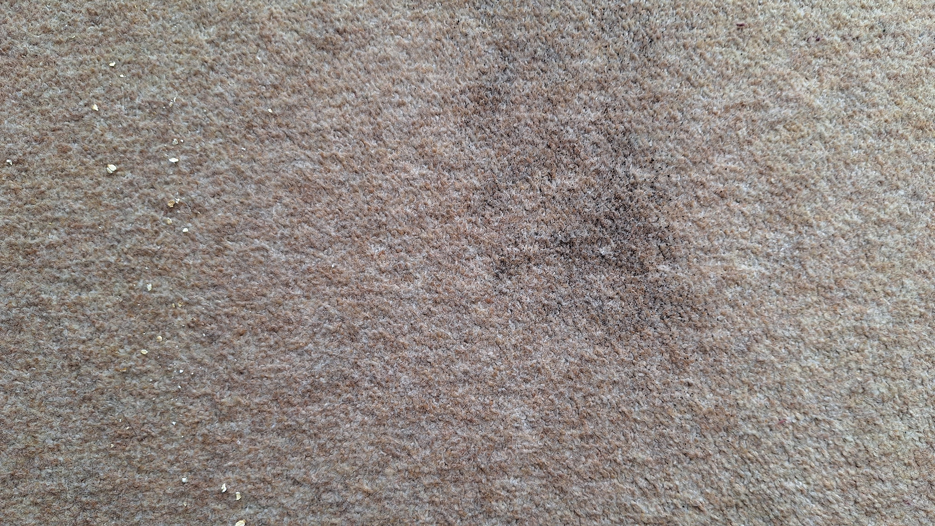 Carpet with tea and oats remaining after two passes with the Roborock Saros 10