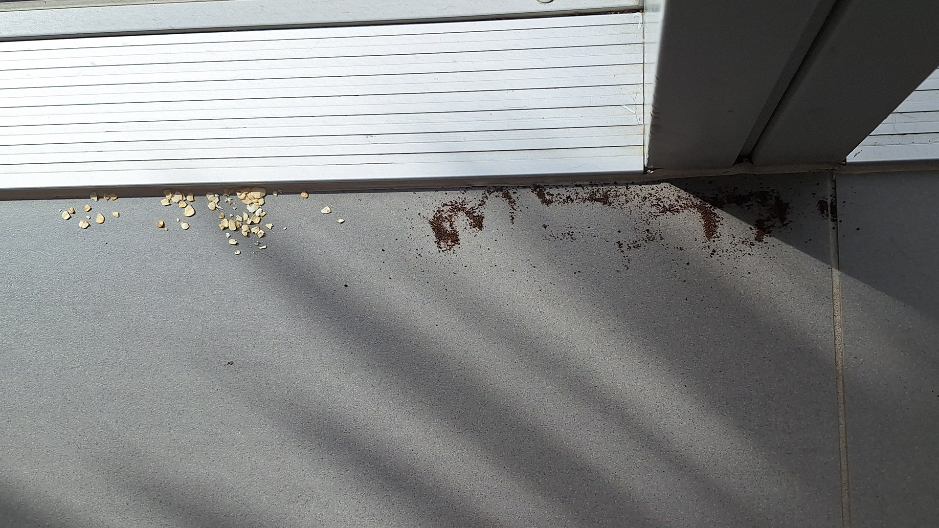 Oats and tea on the edge of a tiled floor
