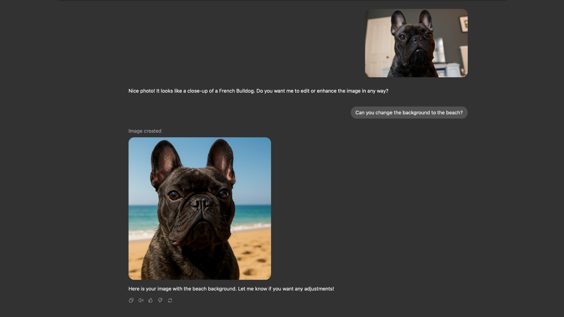 Chatgpt görüntü nesli fransız bulldog
