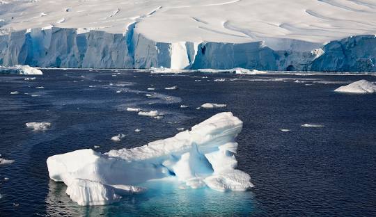 Thwaites Buzulu