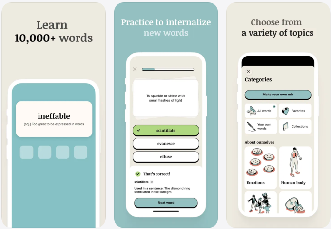 Vocabulary