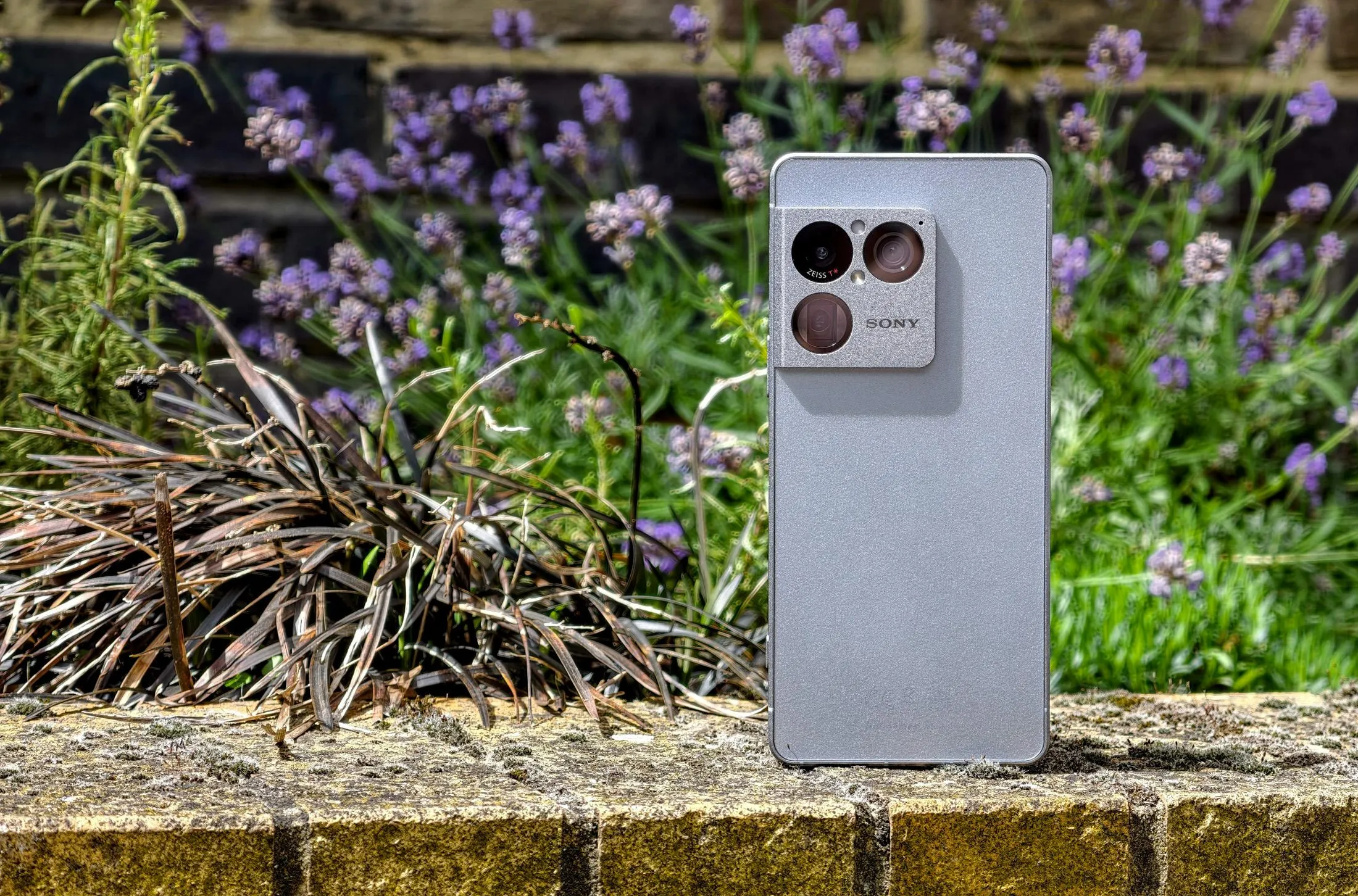 Sony Xperia 1 VIII Tasarımı